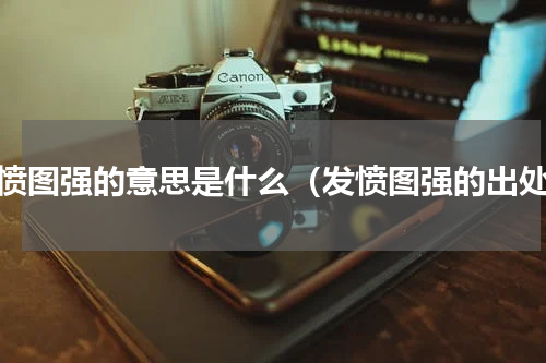发愤图强的意思是什么（发愤图强的出处）