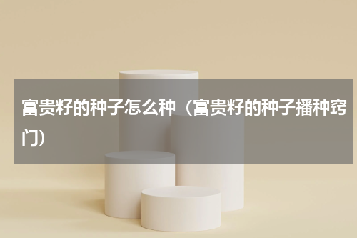 富贵籽的种子怎么种（富贵籽的种子播种窍门）