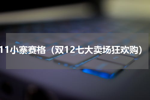 双11小寨赛格（双12七大卖场狂欢购）