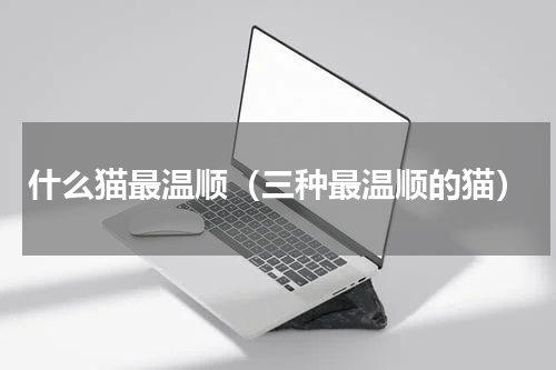 什么猫最温顺（三种最温顺的猫）