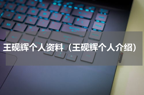 王砚辉个人资料（王砚辉个人介绍）