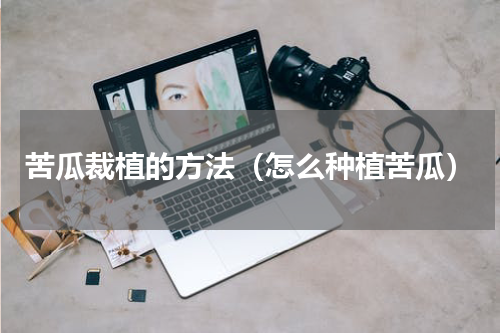 苦瓜裁植的方法（怎么种植苦瓜）