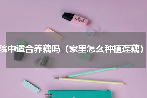 院中适合养藕吗（家里怎么种植莲藕）