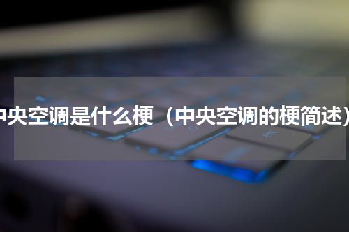 中央空调是什么梗（中央空调的梗简述）