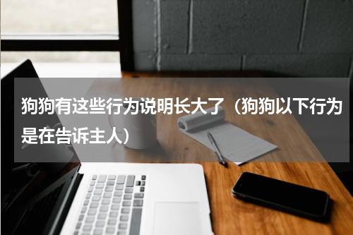 狗狗有这些行为说明长大了（狗狗以下行为是在告诉主人）