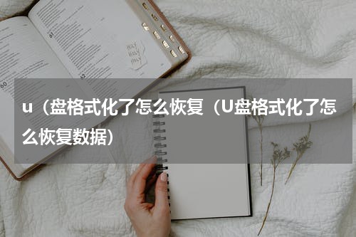 u（盘格式化了怎么恢复（U盘格式化了怎么恢复数据）