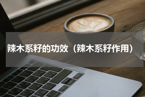 辣木系籽的功效（辣木系籽作用）