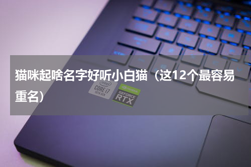 猫咪起啥名字好听小白猫（这12个最容易重名）