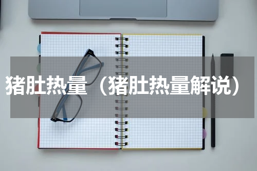 猪肚热量（猪肚热量解说）