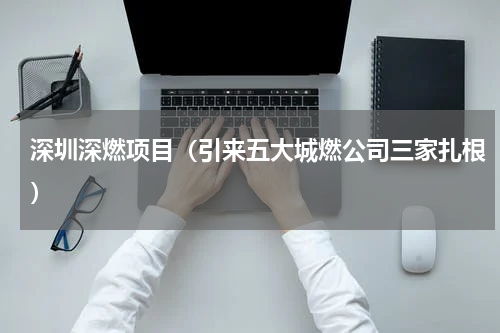深圳深燃项目（引来五大城燃公司三家扎根）