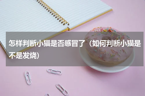 怎样判断小猫是否感冒了（如何判断小猫是不是发烧）