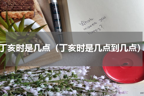 丁亥时是几点（丁亥时是几点到几点）