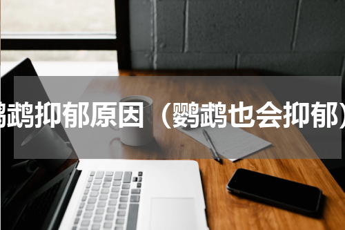 鹦鹉抑郁原因（鹦鹉也会抑郁）