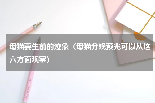 母猫要生前的迹象（母猫分娩预兆可以从这六方面观察）