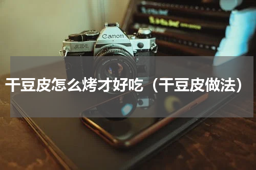 干豆皮怎么烤才好吃（干豆皮做法）