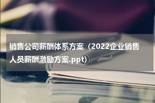 销售公司薪酬体系方案（2022企业销售人员薪酬激励方案.ppt）