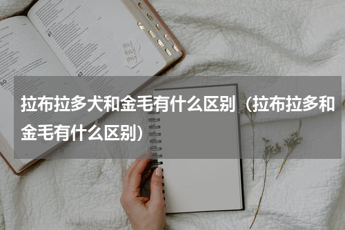 拉布拉多犬和金毛有什么区别（拉布拉多和金毛有什么区别）