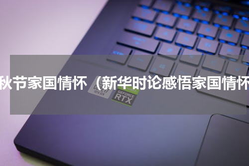 中秋节家国情怀（新华时论感悟家国情怀）