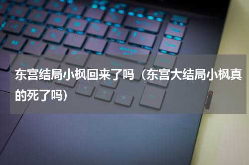 东宫结局小枫回来了吗（东宫大结局小枫真的死了吗）