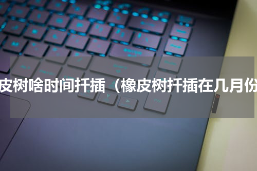 橡皮树啥时间扦插（橡皮树扦插在几月份）
