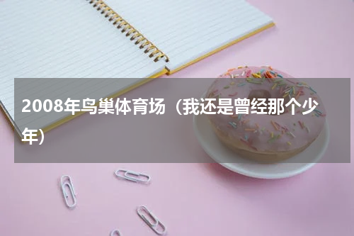 2008年鸟巢体育场（我还是曾经那个少年）