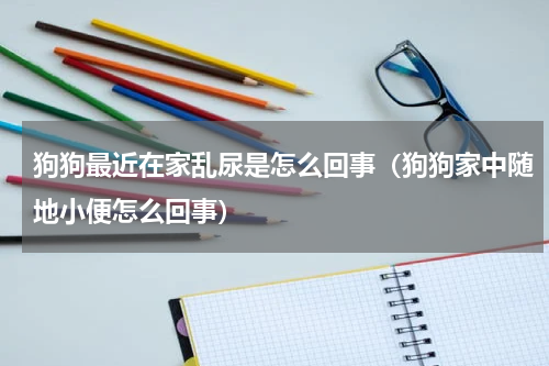 狗狗最近在家乱尿是怎么回事（狗狗家中随地小便怎么回事）