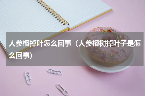 人参榕掉叶怎么回事（人参榕树掉叶子是怎么回事）