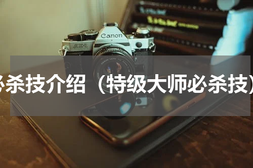 必杀技介绍（特级大师必杀技）
