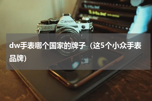 dw手表哪个国家的牌子（这5个小众手表品牌）