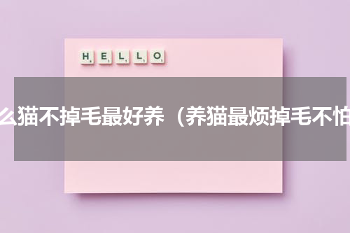 什么猫不掉毛最好养（养猫最烦掉毛不怕）