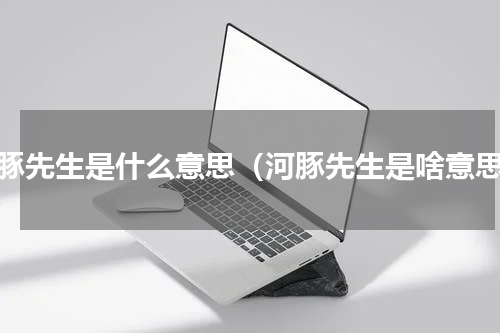 河豚先生是什么意思（河豚先生是啥意思）