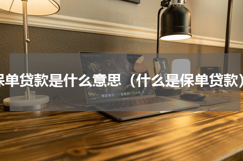 保单贷款是什么意思（什么是保单贷款）