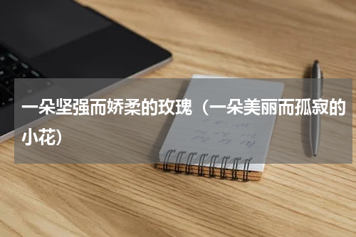 一朵坚强而娇柔的玫瑰（一朵美丽而孤寂的小花）