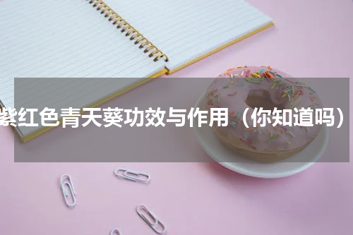 紫红色青天葵功效与作用（你知道吗）