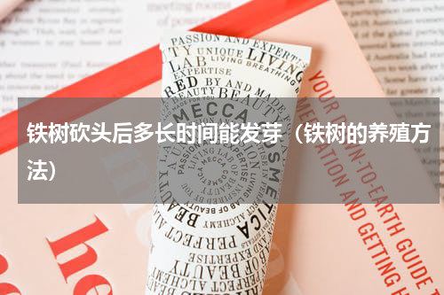铁树砍头后多长时间能发芽（铁树的养殖方法）