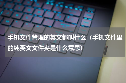 手机文件管理的英文都叫什么（手机文件里的纯英文文件夹是什么意思）