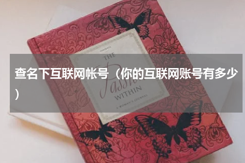 查名下互联网帐号（你的互联网账号有多少）