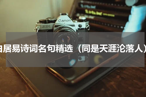 白居易诗词名句精选（同是天涯沦落人）