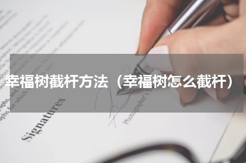 幸福树截杆方法（幸福树怎么截杆）