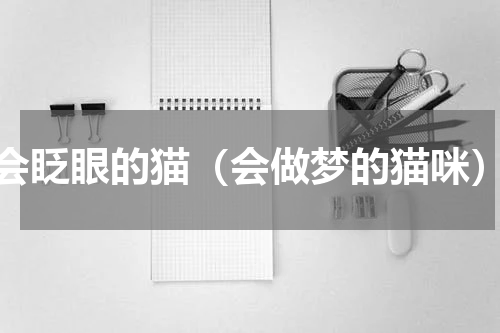 会眨眼的猫（会做梦的猫咪）