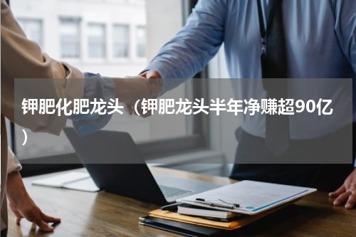 钾肥化肥龙头（钾肥龙头半年净赚超90亿）