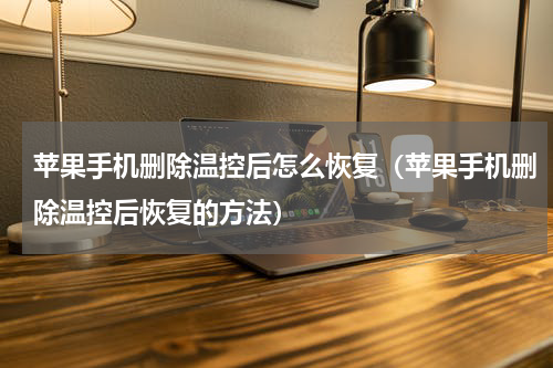 苹果手机删除温控后怎么恢复（苹果手机删除温控后恢复的方法）