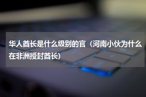 华人酋长是什么级别的官（河南小伙为什么在非洲授封酋长）