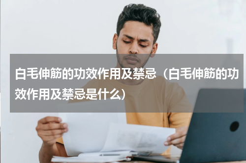 白毛伸筋的功效作用及禁忌（白毛伸筋的功效作用及禁忌是什么）