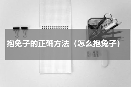 抱兔子的正确方法（怎么抱兔子）