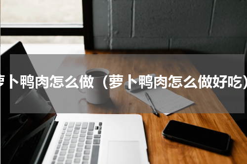 萝卜鸭肉怎么做（萝卜鸭肉怎么做好吃）