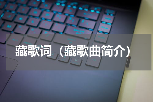藏歌词（藏歌曲简介）