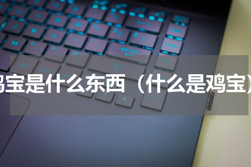 鸡宝是什么东西（什么是鸡宝）