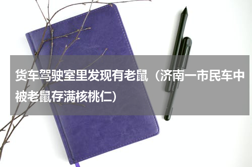 货车驾驶室里发现有老鼠（济南一市民车中被老鼠存满核桃仁）