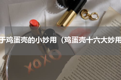 关于鸡蛋壳的小妙用（鸡蛋壳十六大妙用）